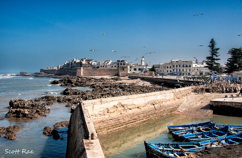 Essaouira-Harbour 
 Keywords: morocco africa world buildings sea coast water