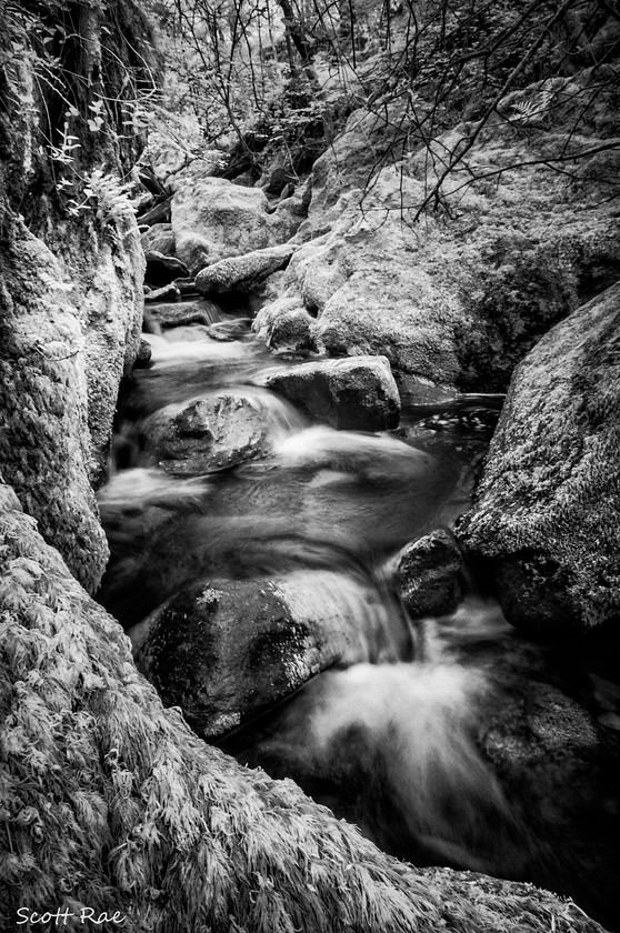 Stock-Ghyll-in-Infrared 
 Keywords: uk nw england summer water waterfall river trees infrared b&w