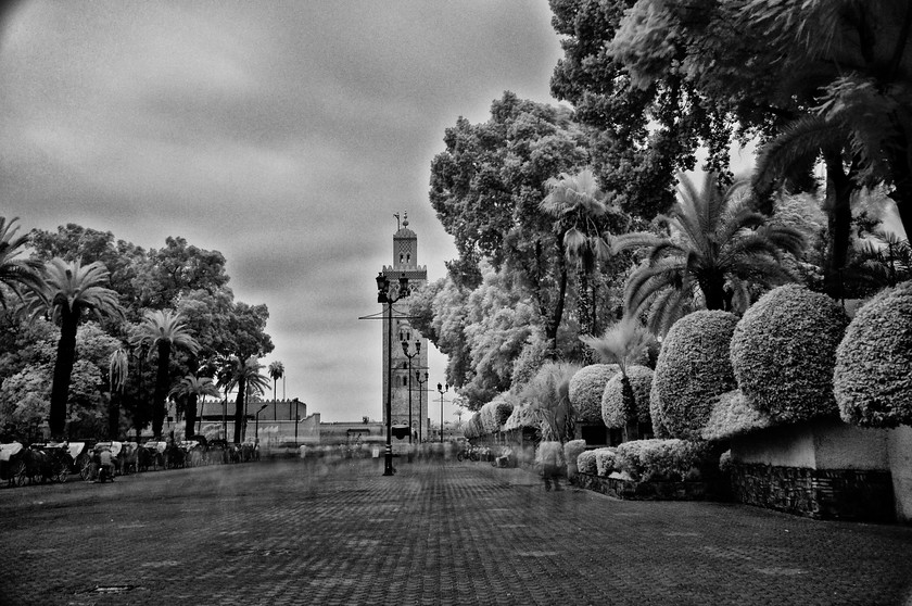 Morocco 118 
 Keywords: morocco africa world infrared b&w street people