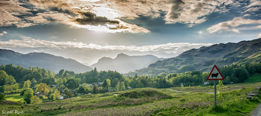 Beware-of-the-Sheep 
 Keywords: uk nw england summer mountains trees sunset panorama