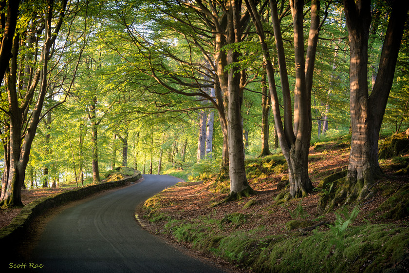 Sweeping-Roads 
 Keywords: uk nw england summer transport trees sunset
