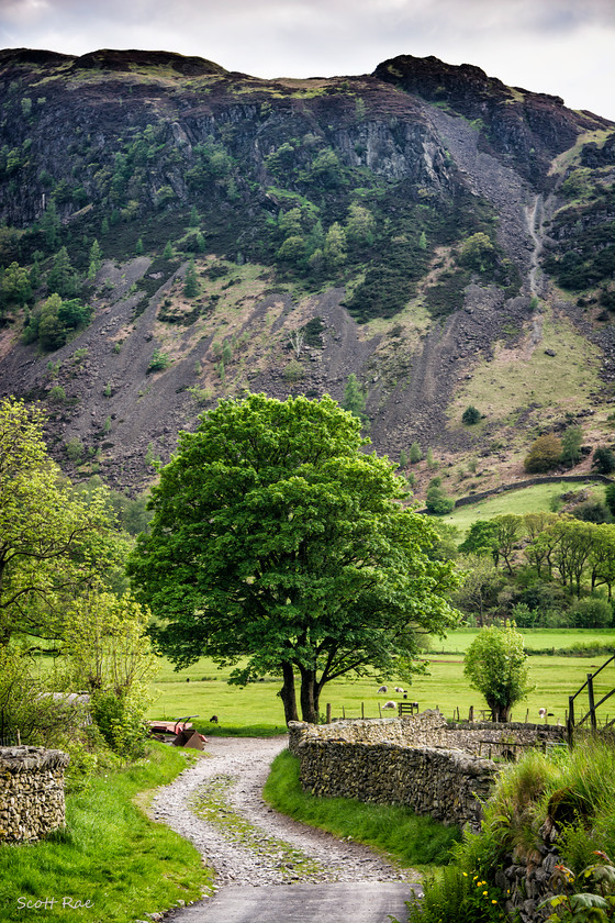 Oak-Howe-Needle 
 Keywords: uk nw england summer mountains trees