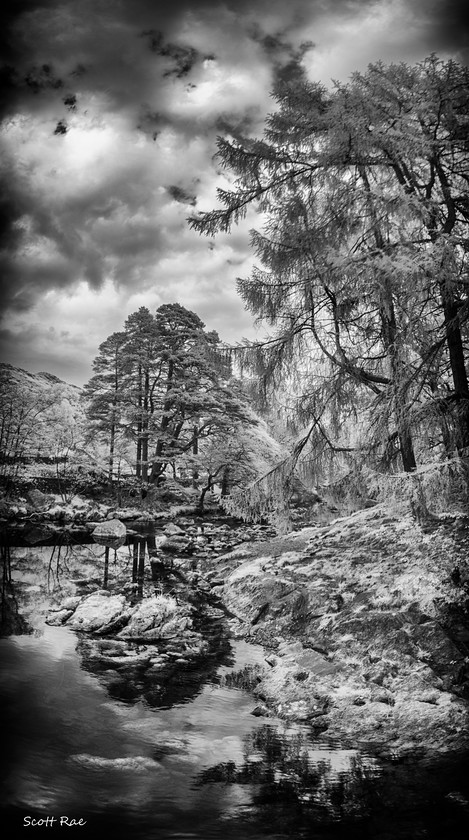 Great-Langdale-Beck-IR-Vertorama 
 Keywords: uk nw england water summer mountains trees infrared b&w river