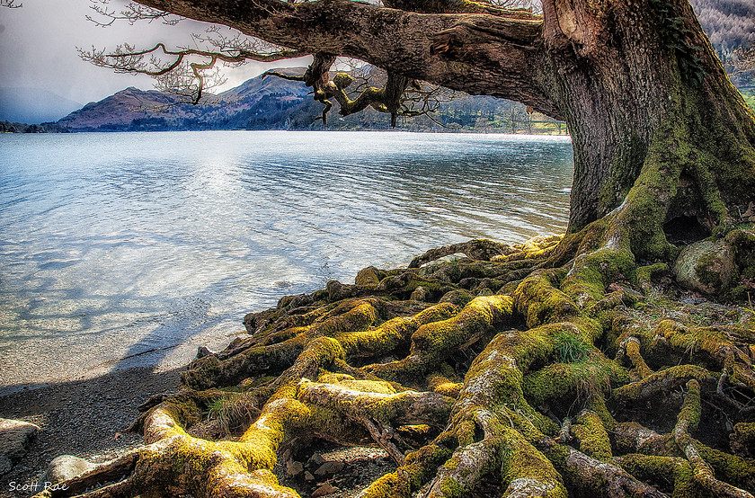 Ullswater 
 Keywords: uk nw england winter water lake mountains trees
