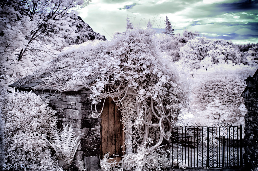 Coniston-Shed-in-IR 
 Keywords: uk nw england summer infrared buildings flora trees