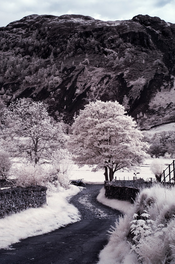 Oak-Howe-Needle-in-false-colour-IR 
 Keywords: uk nw england summer mountains trees infrared