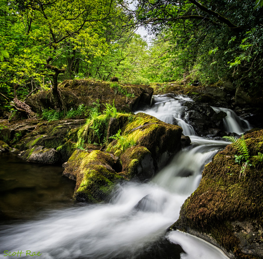 Force-Falls 
 Keywords: uk nw england summer water waterfall river trees