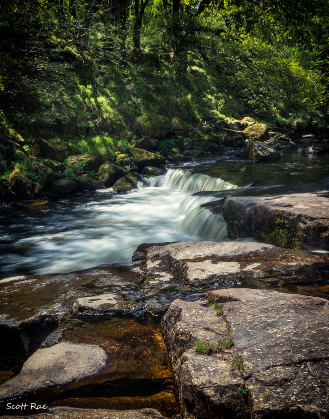DSC 6362 
 Keywords: devon sw england water river trees moor dartmoor spring waterfall